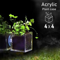 [헬로아쿠아]수초-플랜트케이스 노치도메-어항부착형 수중식물, 단일속성