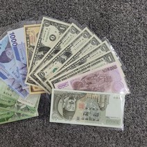 지폐홀더 100장 동전 앨범 지폐보관팩 수집용품, 쿠팡 본상품선택