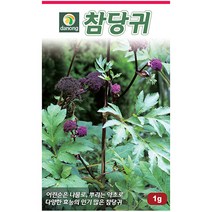 방아 1g - 씨 씨앗 방아씨앗 방아씨 나물씨 나물씨앗 민속채소 채소씨 채소씨앗 방애잎 중개풀 방아풀 배초향 곽향, 30_다농_참당귀(1g)