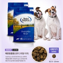 애견 소화흡수잘되는 유산균함유 사료 2.26kg 강아지가 사료추천 강아지추천사료 성견