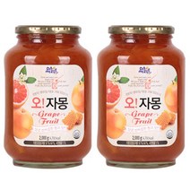 [천삼백케이] [메가커피] 다미즐 오 자몽 2kg 2개세트, 2개