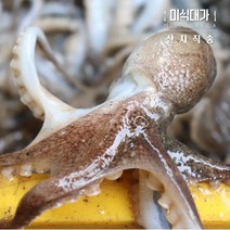 국산 생물쭈꾸미 활 쭈꾸미 볶음 샤브샤브, 활쭈꾸미 3kg