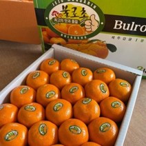[루디번니] 불로초 감귤 1.5kg/3kg 제주감귤 귤 불로초감귤 제주불로초감귤 제주 불로초 감귤 12.5 브릭스 이상 맛있는 제주 불로초 감귤, 제주 불로초 감귤 /1.5kg/2S~M