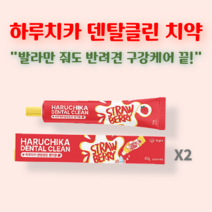 펫생각 바르는 애완견 반려견 개 강아지 용품 애견 치석 치아 관리 구취 입냄새 제거 양치 구강케어 천연 딸기맛 메론맛 치약, 딸기맛 2개 60g