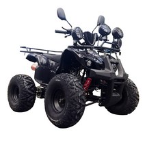 4륜바이크 4x4 400cc 250cc 쿼드 atv 500cc 중국 4 휠러 atvs 1000cc 300cc 성인용