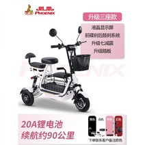 세발전기자전거 삼륜전기자전거 노인전동차 어르신 바이크105839, 48V, 3 인승/20A/내구 약 90km