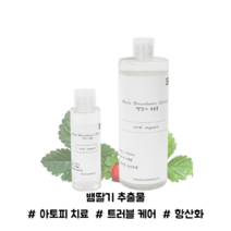 뱀딸기 추출물(Mock Strawberry Extract), 500g