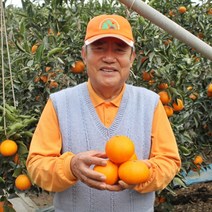 제주 서귀포 제철 고당도 레드향 못난이레드향 가정용 선물세트 3kg 5kg 10kg, 레드향 선물세트 3kg 대과(9~13수)