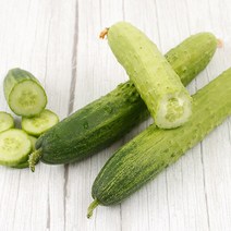 국내산 백다다기 오이, 4kg 16-22개입, 1개