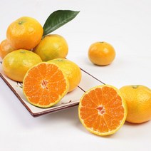 제주도 노지 귤 제주도 감귤 제주 감귤 제철 노지귤 3kg 3개입, 10kg 프리미엄 3개