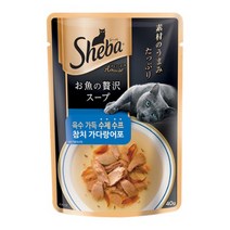 쉬바 수제수프 참치 가다랑어포 파우치 40g