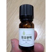 천오 편백나무 피톤치드 원액 오일 본품, 10ml, 8개