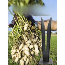 땅콩 수확기 탈곡기 타작기 탈립기 1+1, 단일사이즈, 업그레이드된 땅콩 따기  3팩