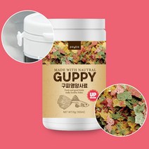 [조한스토어] 페이토 구피 영양사료 100ml (구피/소형 열대어 먹이) 부상성 타입, 1개, 15g