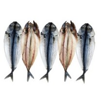 속초 반건조 고등어 3마리 / 5마리, 반건조 고등어 5미