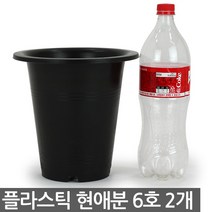 현애분 6~10호 - 검정 플라스틱 화분 베란다화분 꽃화분 대형화분 플라스틱화분 검정화분 블랙 화이트 흰색 파란화분, 01_한성_현애분 블랙(6호) X 2개