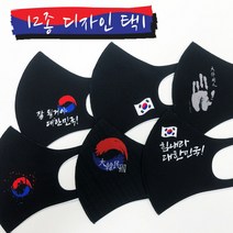 태극기 마스크 힘내라 대한민국 마스크 12종 택1 국산 빨아쓰는 마스크, 2번, S (아동), 1개