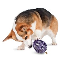 PetSafe Busy Buddy Kibble Nibble 식사 디스펜싱 강아지 장난감 스몰 - PTY00-13739 퍼플 496873, Small, Purple