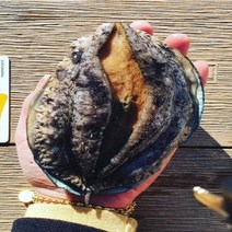 [활전복 산지직송] 완도 전복선물세트 직거래 대 특대 특특대 선물용 / 1kg 2kg 10미 20미 30미 40미 꼬마전복 미니전복 가정용 내일도착, 1-1) <미니> 1kg 40-60미” class=”wr-img”></a></div></p></div></p></div></p></div><div class=