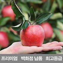 영화청과 국내산 사과 7.5kg 프리미엄 백화점 납품 감홍 문경 시나노 골드 청송 홍옥 양광 미니 홍로 엔, 1, 본상품선택