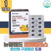 뉴질랜드 비프로폴리스 1박스 식약처 인증 묵넘김 쉬운 미니 캡슐 프로 플로 폴리 폴리스 풀리스 플라 폴라 보노이드 비타민E 아연 목이물감 면역력높이는 목관리 잔기침 환절기 구강 항균 영양제 항산화 항균 효능 추천 BEE PROPOLIS