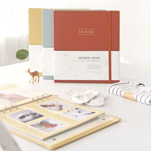 3종 인디고 태교 일기 초음파 앨범 사진 보관 산모 수첩 꾸미기 장 임신 임산부, 민트