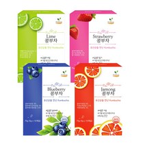 특허받은 콤부차 자몽 라임 스트로베리 블루베리 5gx15개입