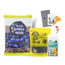 화분월드 정한 블루베리 (최적의 배양토) 12L, 12oz, 1개