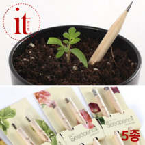 2P 씨앗연필 방울토마토 나팔꽃 씨앗 화분 키우기 봉선화 해바라기 미니 바질 몽당 연필
