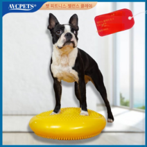 강아지 재활운동 핏포즈 근력 발란스 앞다리 무릎강화, 로즈 레드