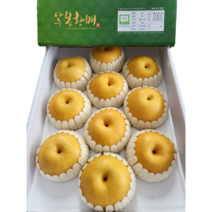 임과일 GAP 명품 나주배 5kg / 7.5kg / 15kg 신고배 풍수배 황금배 산지직송, 1박스, 4. 풍수배 15kg(25과 내)