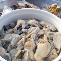 산지직송 통영 생굴 굴 깐굴 알굴 1kg, 1개