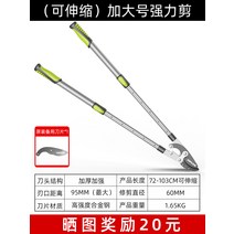 독일 사바우라 전동 감나무 뱅갈 고무나무 해피트리 가지치기 리튬 전기 가위 9.5cm, 단품
