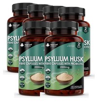 영국 뉴리프 프로덕트 NEW LEAF 실리엄허스크 차전자피 2000mg with 프로바이오틱스 120캡슐, 6팩