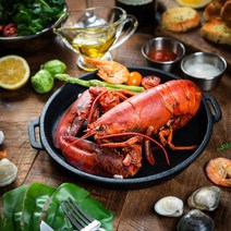 대한민국농수산 활 랍스터 500g 랍스터 테일 바닷가재, 활 랍스터 500g내외 1마리