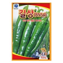 23년도 길상 고추씨앗 100립 사카타코리아