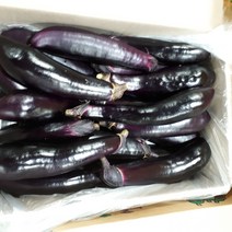 새벽들 못난이 가지, 5kg, 1개