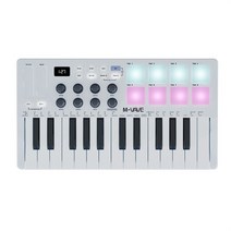 미디컨트롤러 휴대용 마스터키보드 25 키 MIDI 키보드 컨트롤러 휴대용 USB 키보드 8 백라이트 드럼 패드 8, 01 White
