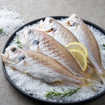 농가살리기 HACCP 통영 반건조 백조기 손질 1kg 2미 3미, 반건조 백조기 3미(대 25~28cm)