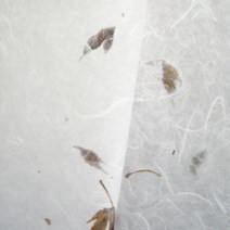 벽지쇼핑몰.. 자연창호 단풍 (롤) .. 한지 문살창호지 전통한지 수제한지 전통창호지 한지벽지 한지창호지 롤창호지 롤한지 문창호지 들꽃창호지 찢어지지않는 아크릴창호지 문종이 파는곳