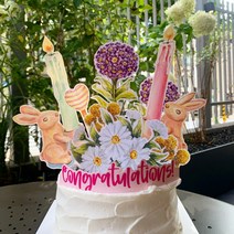 파티봉봉 헤이든 드로잉토퍼 결혼10주년이벤트 서른 토퍼 티아라케이크 플라워 케이크, 토퍼 단독형(핑크)