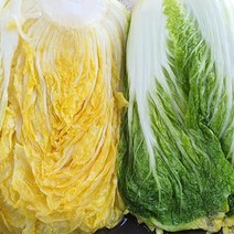 [이조원] 해남 땅끝 절임배추 국내산100% HACCP인증, 20kg / 화요일출고 수요일도착, 20kg