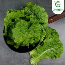 [온도씨] 가락시장 잎로메인 300g, 상세 설명 참조