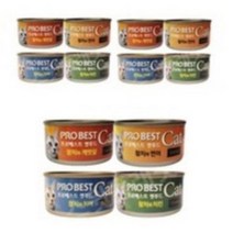 프로베스트 캣 푸드 습식 간식 캔 전연령 키튼 스윗플래닛, 24개, 참치와 치킨