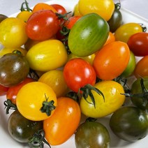 강원 춘천 친환경 GAP 컬러 대추방울토마토 새콤달콤 샐러드 칼라토마토 1kg 2kg, 1박스, 1kg(2팩)