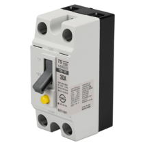 태성 누전차단기 TBE 32(TCE 32H) 2P 30A 2.5KA