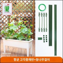 킹마이크로 플라스틱 항균 고각종채반+등나무걸이 대 4세트 수경재배 베란다 스마트팜 채소 야채 식재용, 단품