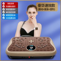 운동기구 덜덜이 마사지 피트니스 쉐이크보드 바디슬리머 다이어트 전신운동 가정용, 디럭스 브라운빅바디+인버터 모터+고강승
