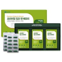 프리미엄 징코 앤 메모리 두뇌 인지력 기억력 영양제 손발저림 혈행개선 수험생 청소년 갱년기 60대 70대 기억력 집중력 은행잎추출물 혈액순환, 90캡슐(3개월) x 8개