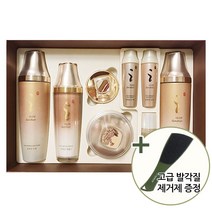 다나한 본연진 4종 세트(스킨+로션+크림+에센스)+고급 발각질 제거제 증정
